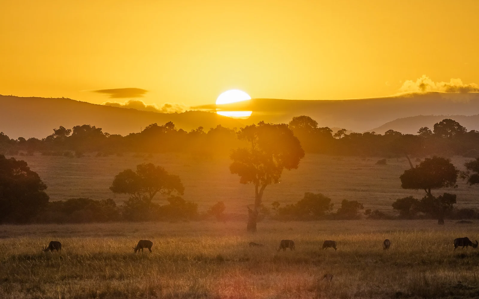 Kenya Safari & Nairobi – 6 Days — destination photo 1